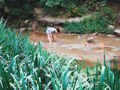 -白水寺森林公园