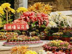 -广州莲花山旅游区