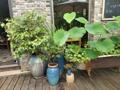-田园东方蜜桃村的田野营地