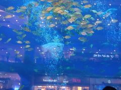 -成都浩海立方海洋公园