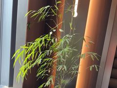 -大拙里·精致融合菜(沙湖桃源国际店)