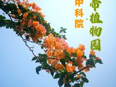 -中国科学院西双版纳热带植物园