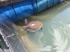 -海上驿站渔家菜馆