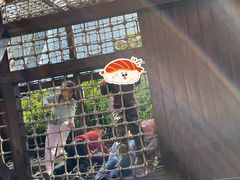 -中国福利会少年宫