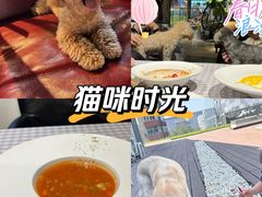-百好乐宠物友好餐厅(朝外大街店)