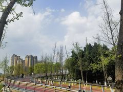 -府河摄影公园
