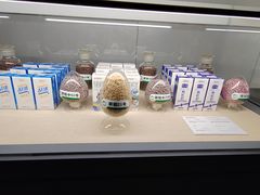 -三五九旅屯垦纪念馆