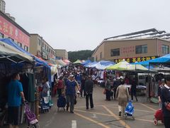 -李村大集