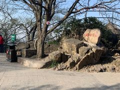 -紫金山山顶公园
