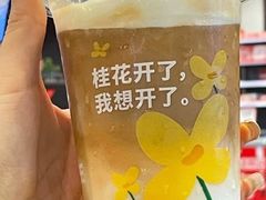 桂花风味冰燕麦拿铁-肯德基(中州一店)