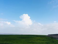 -南汇嘴观海公园