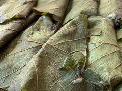 -龙香居海鲜浑锅家常菜·特色驴肉