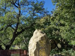 -北京西山国家森林公园