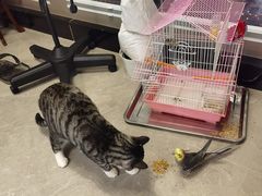 -御筋堂正骨推拿(星源国际店)