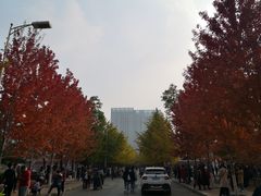 -辽宁大学(崇山校区)