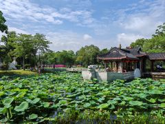 -惠州西湖丰渚园