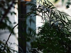 -四方茶集·茶馆(南山科技园店)