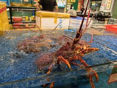 -飞尝蚝·顺德菜·鱼生(顺德总店)