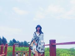 -北海金海湾红树林生态旅游区