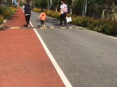 -前小桔亲子创意农场·草莓采摘·露营烧烤