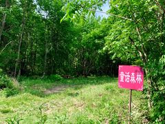 -三块石国家森林公园