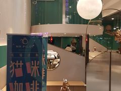 -飞行喵MR PILOT|猫舍·猫咖(静安大融城店)