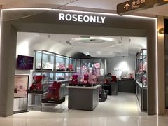 -ROSEONLY诺誓(广州K11店)