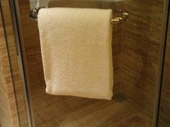 IMAG0676-北京朝阳悠唐皇冠假日酒店