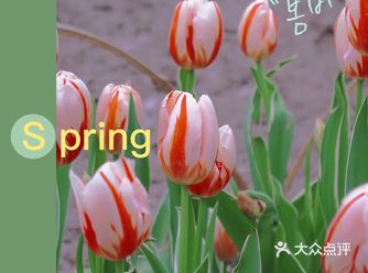 来太子湾公园踩泥巴（赏花）