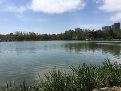 -青城公园