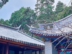 -寂照庵