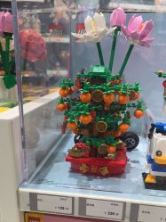 -乐高授权专卖店(中关村领展店)