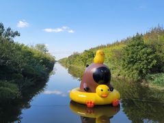 -黄海国家森林公园