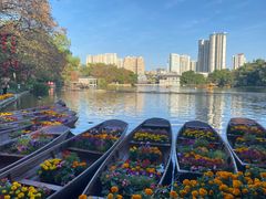 -荔湾湖公园
