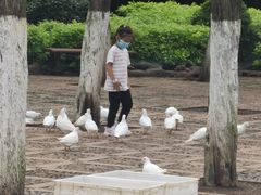 -昆明动物园