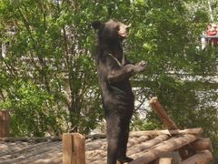 -济南野生动物世界