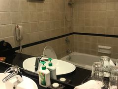 -惠州惠阳丽景国际花园酒店(市政广场店)