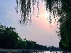 -后海公园