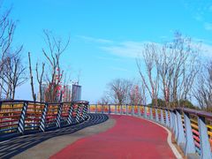 -府河摄影公园
