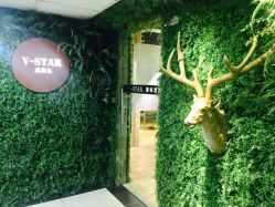 -V-STAR威斯达•高级私人定制