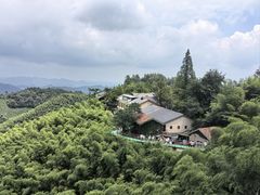 -莫干山风景区