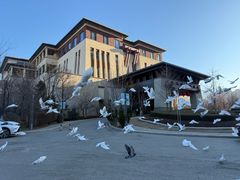 -清河半岛温泉度假酒店