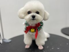 -comecome来吧宠物(奥克斯中心店)