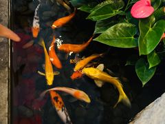 -上海外滩英迪格酒店