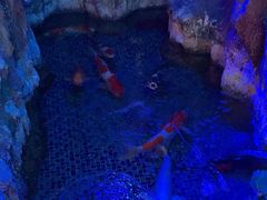 -沐熙汤泉(新安里店)
