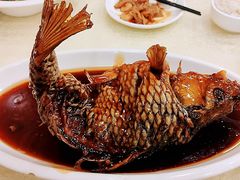挣蹦鲤鱼-奥华餐厅·老张记(台基厂店)