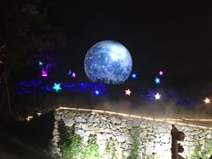 -大塘金香草谷