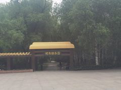 -黑龙江省森林植物园
