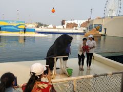 -秦皇岛乐岛海洋王国