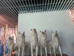 -芜湖新华联大白鲸海洋公园